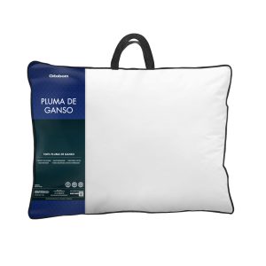 Pluma de Ganso